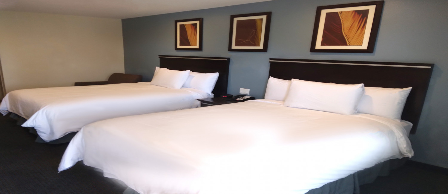 A VARIETY OF COMFORTABLE GUEST ROOMS TO MEET YOUR REQUIREMENTS